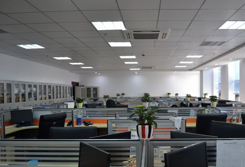 唯一的女兒去世後，北京年近八旬老太每天看直播網購，家中快遞堆滿，30餘人12小時清走10余車雜物