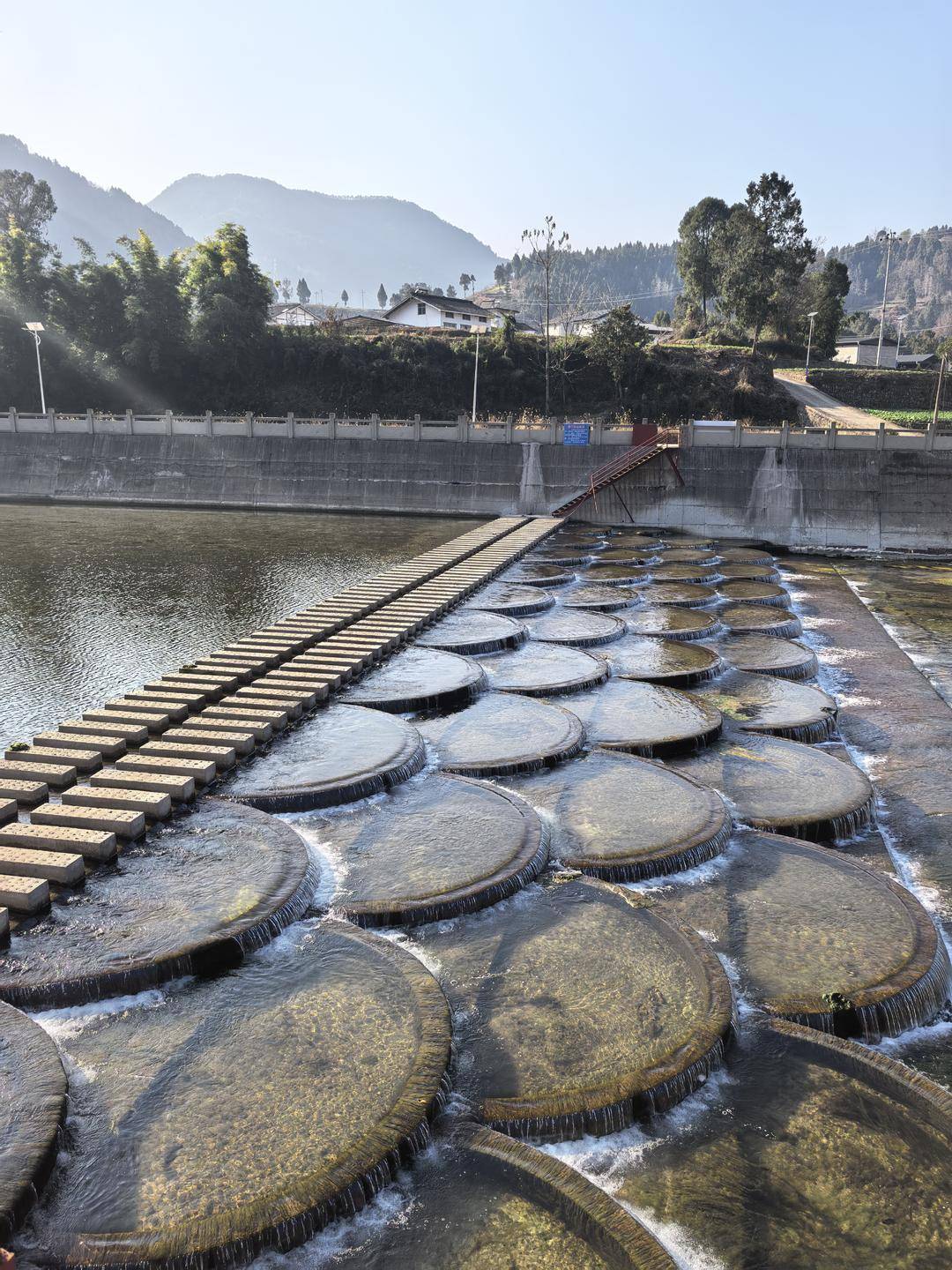 范家小學“學區房”裡的家長們｜封面深鏡