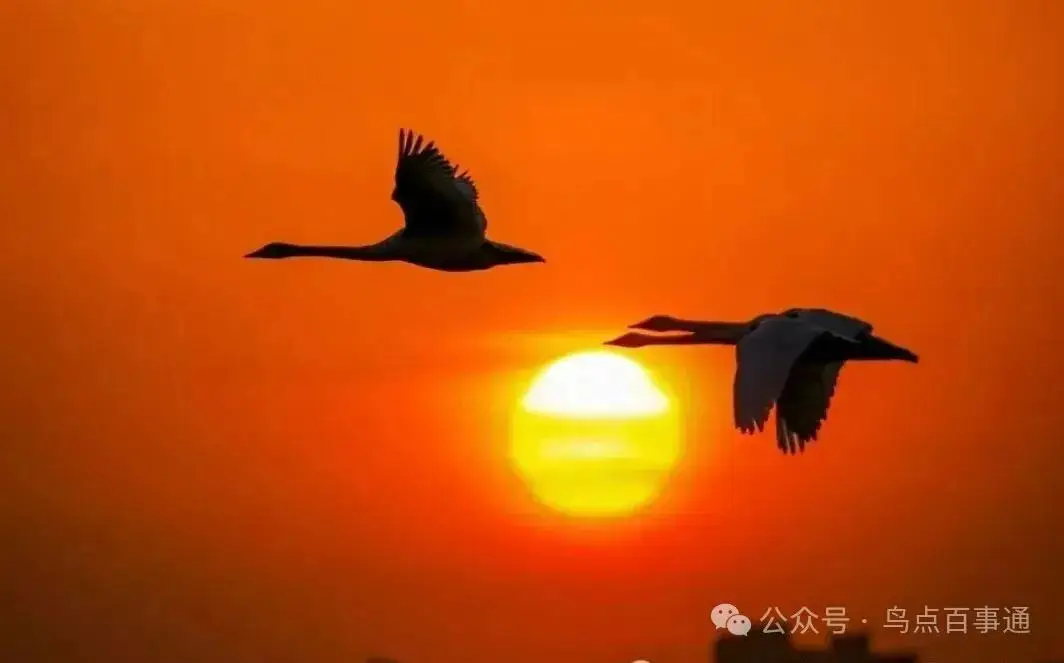 國際旅遊攝影網2026年國內外攝影路線全景指南