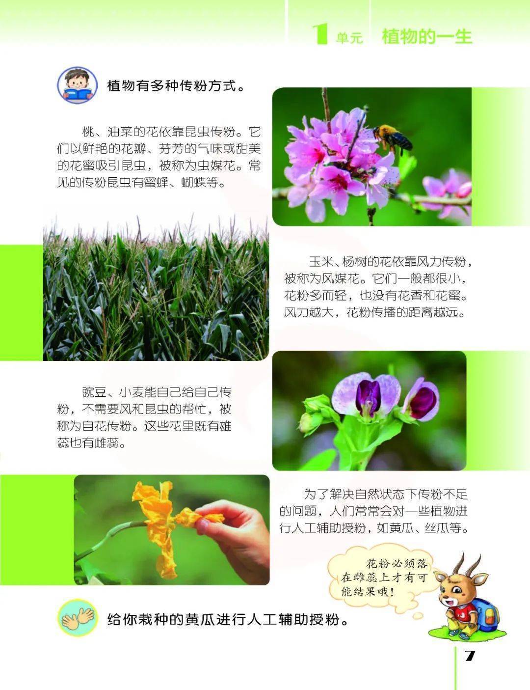 2026蘇教版五年級科學下冊電子課本(PDF高畫質版新教材)