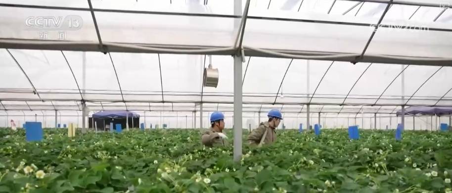 科技改造賦能築牢電力保供屏障 多舉措護航百姓生產生活