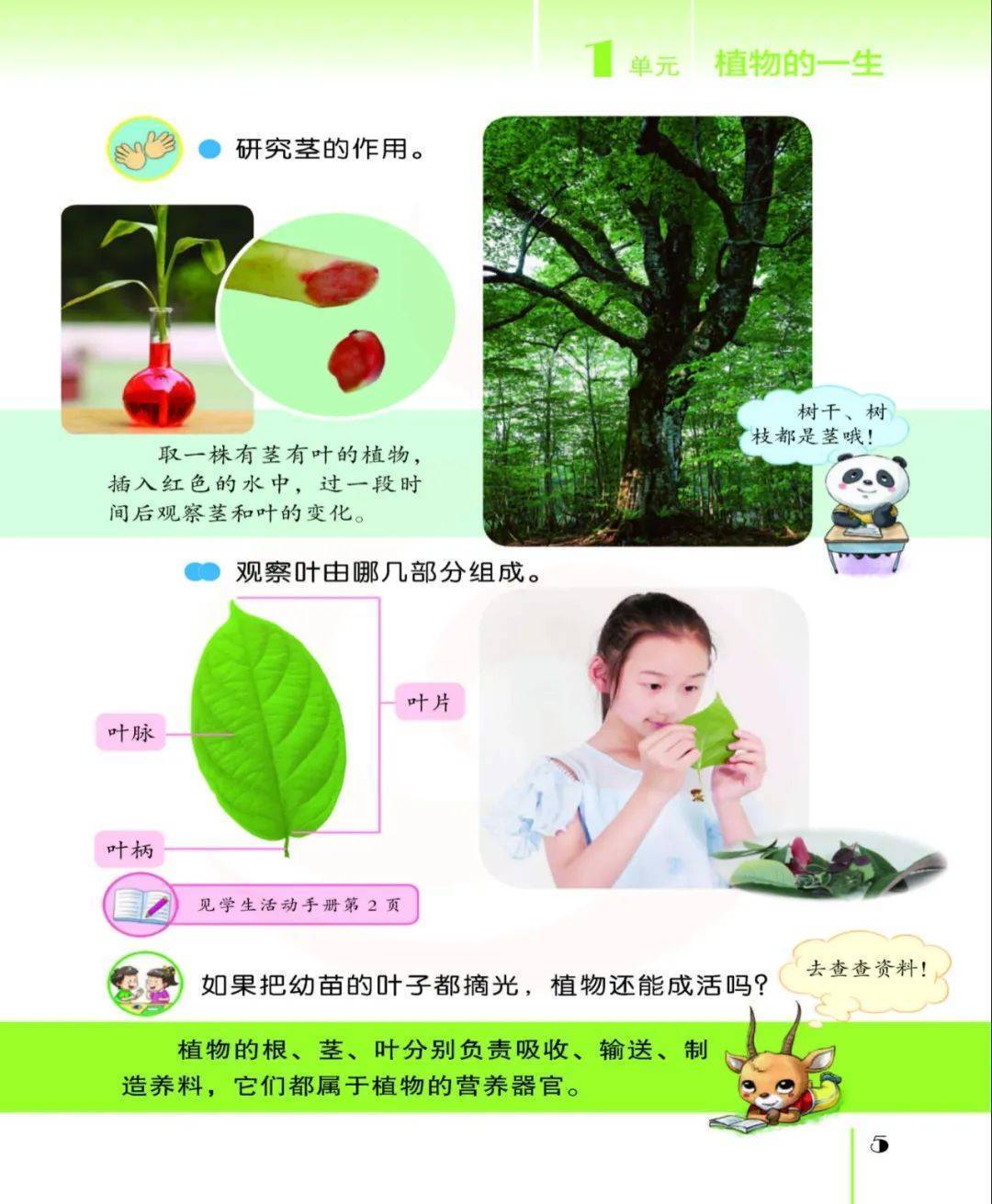 2026蘇教版五年級科學下冊電子課本(PDF高畫質版新教材)