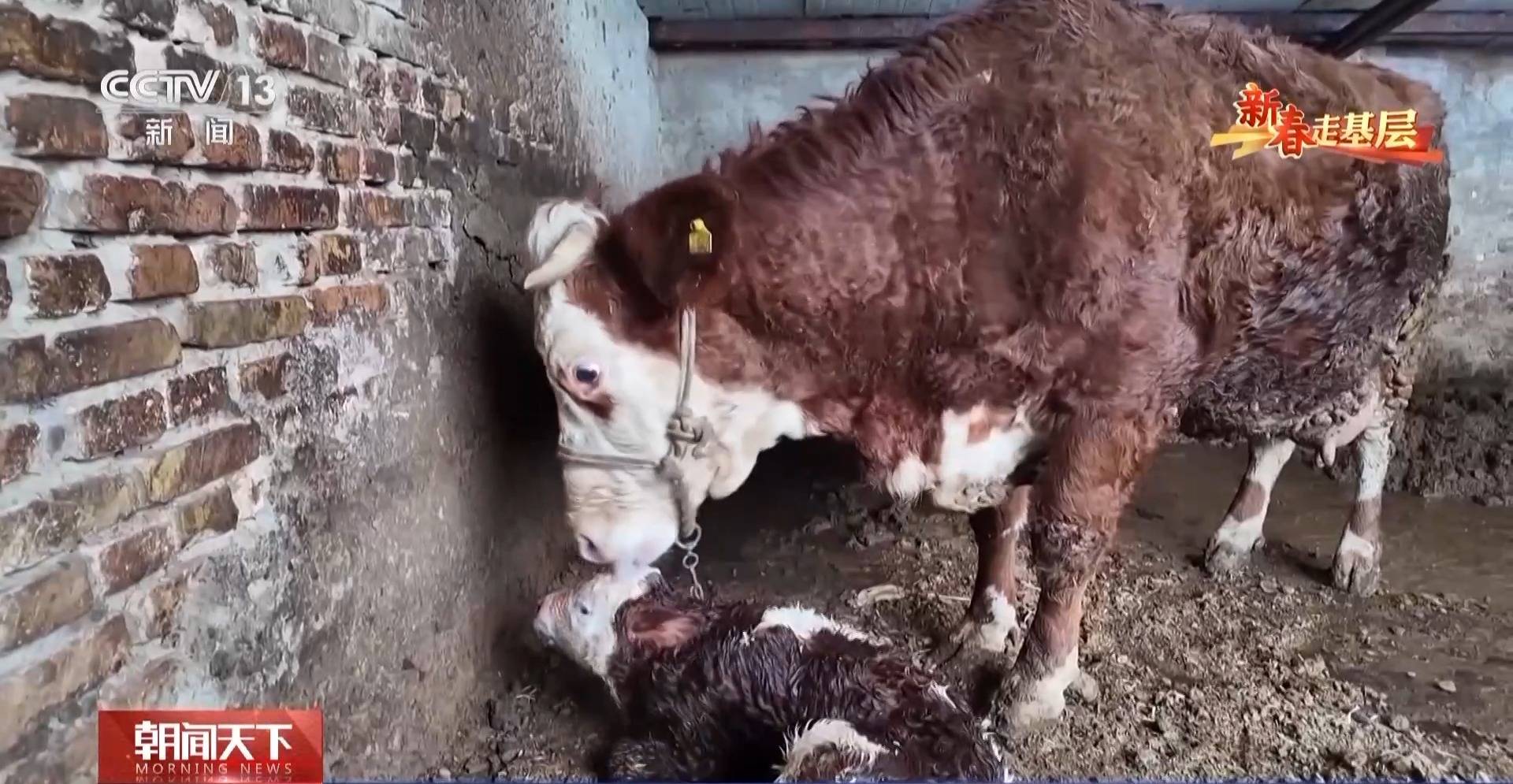新春走基層丨詩歌為犁 文學為種 木蘭書院在黃土坡上耕書香