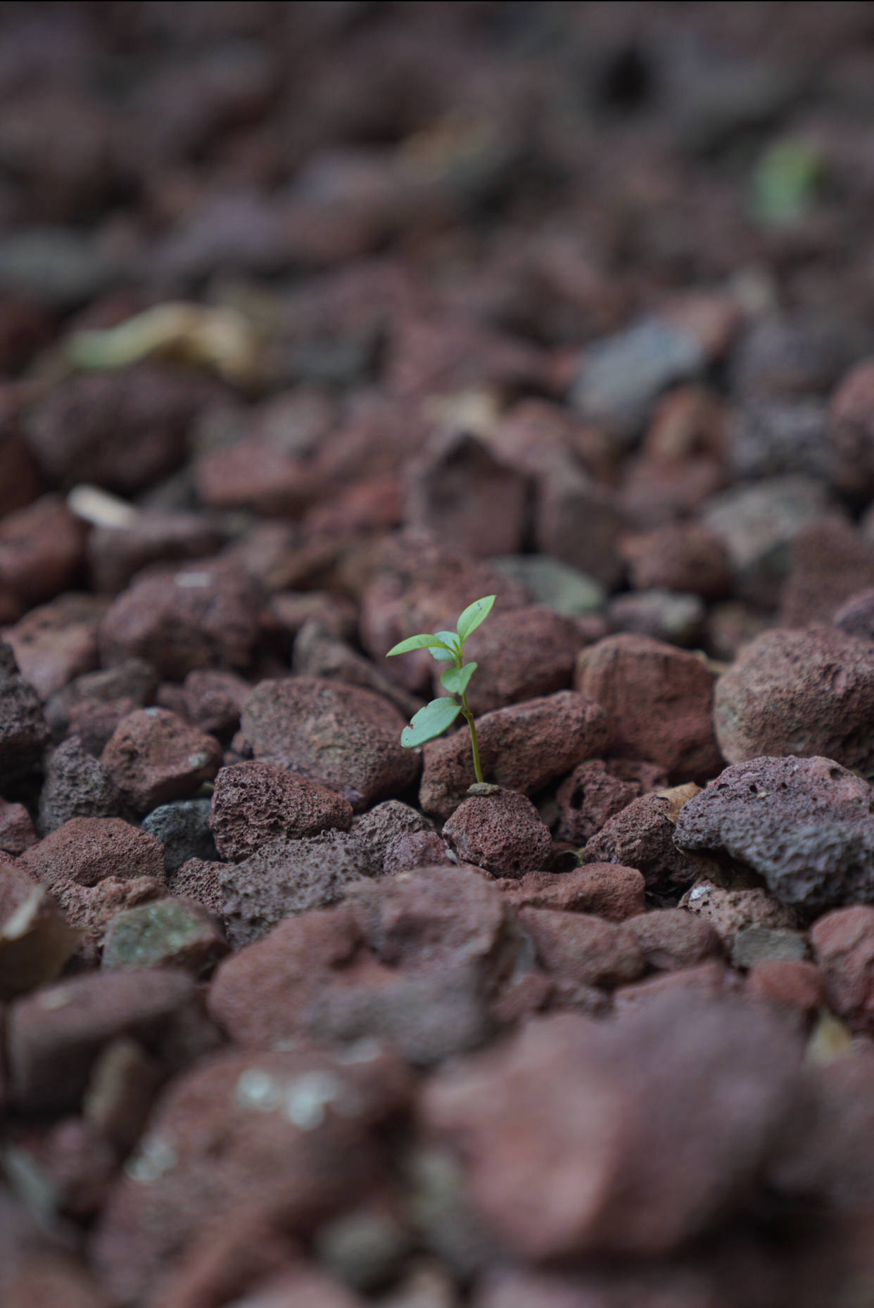 原創停不下來的“教育”