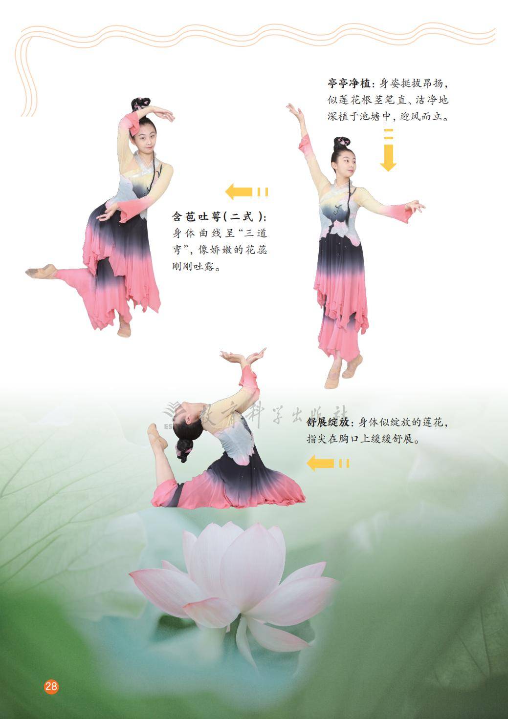 2026教科版八年級舞蹈(下冊)電子課本(PDF版新教材)