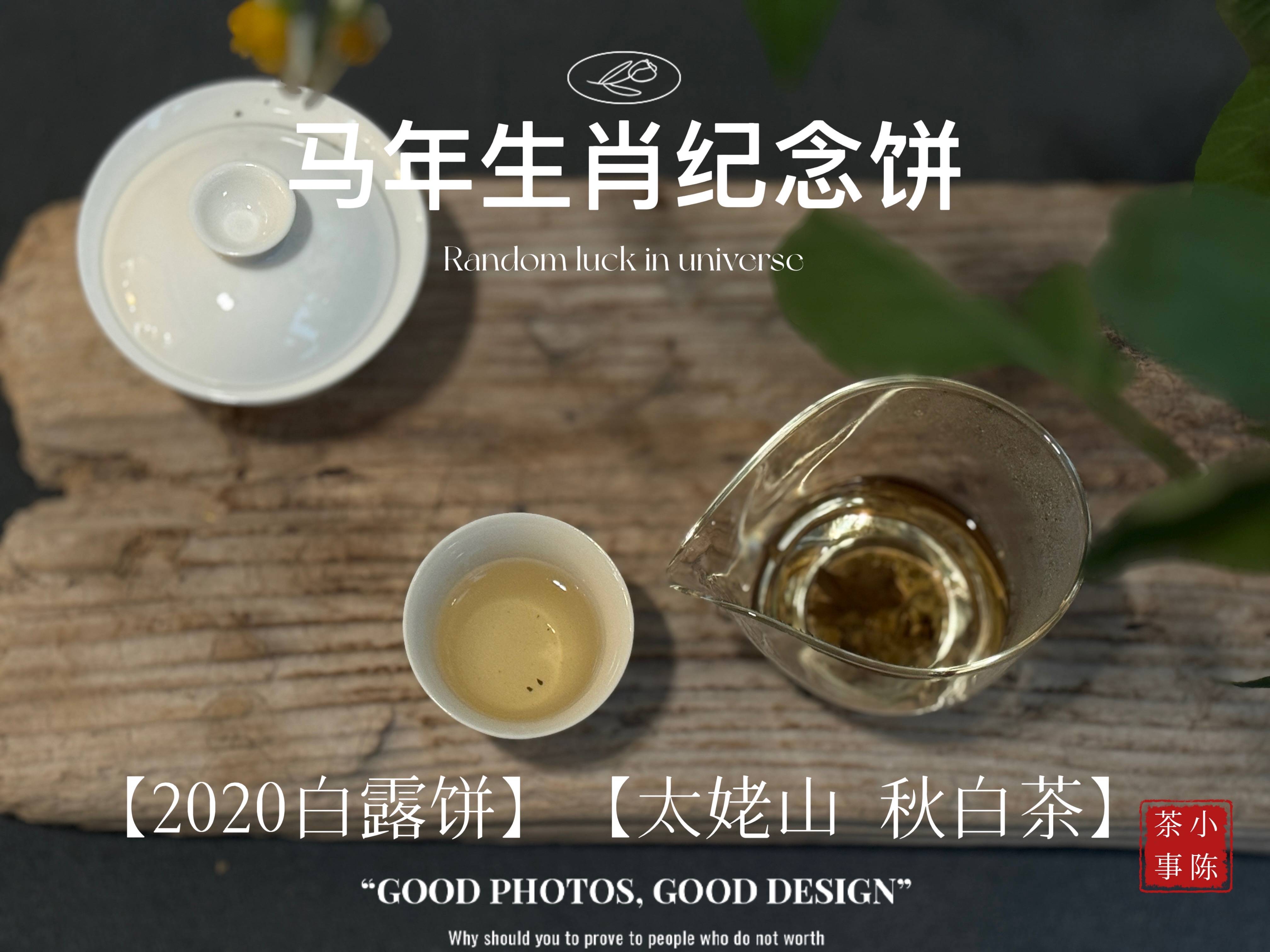 原創收藏白茶，我都只存白茶餅，因為散茶會跑氣串味變質？