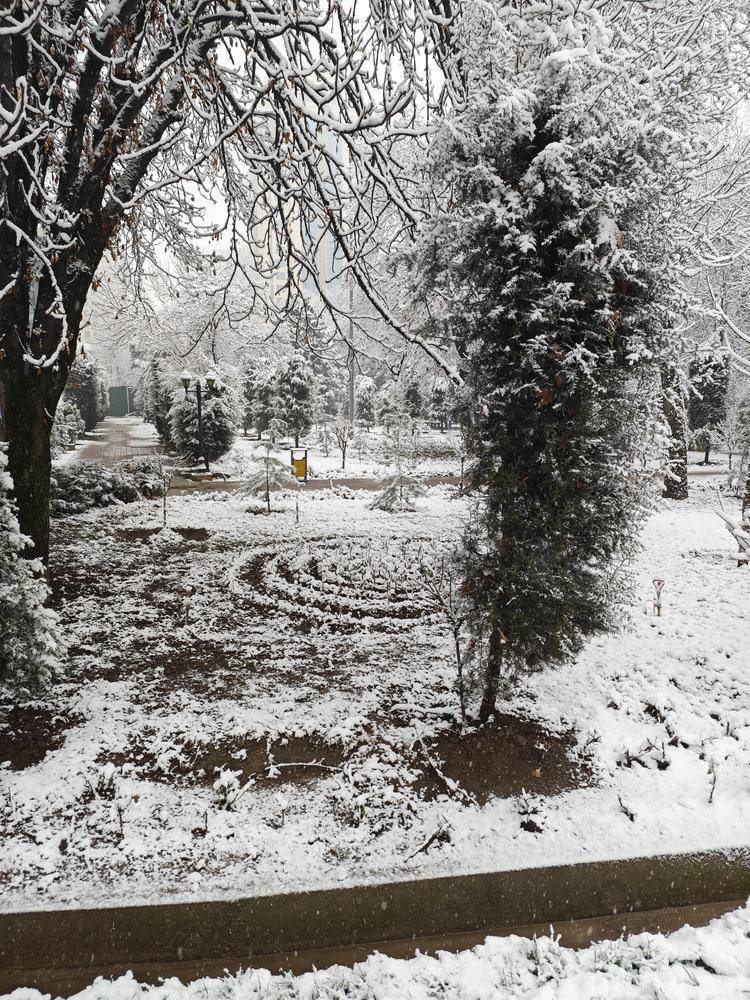 塔吉克留學“闖關”記：熟悉又陌生的國度|小眾留學也精彩53