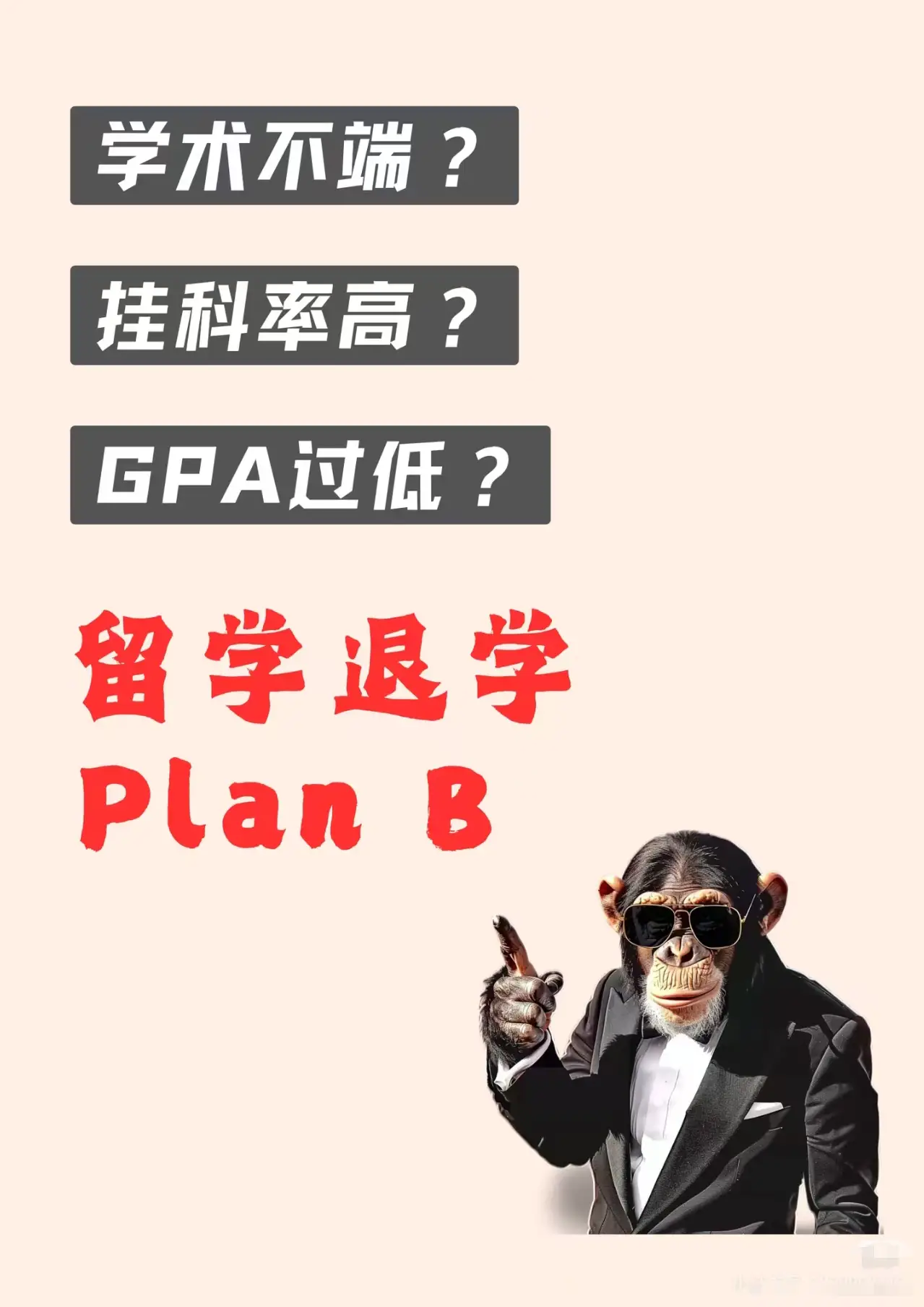 美國本科GPA太低被停學？別慌！4大補救措施+留學認證真相，幫你挽回留學路