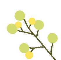 招270人！雲南師範大學附屬小學文林校區釋出招生通告→