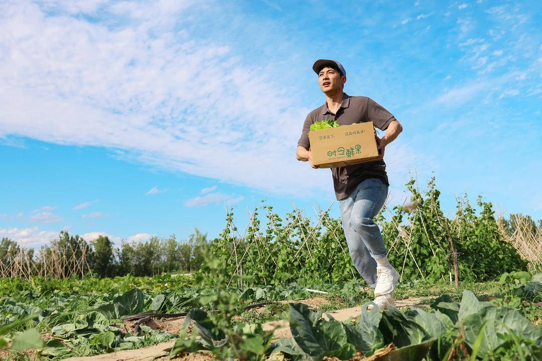 南京8部門聯合印發快遞員服務管理通知 引導快遞員積極參與基層治理