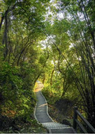 河南廣電×河南旅遊集團 聯合推薦清明省內周邊遊（下）